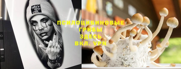 мяу мяу кристалл Верея