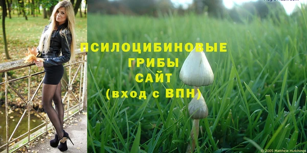 мяу мяу кристалл Верея