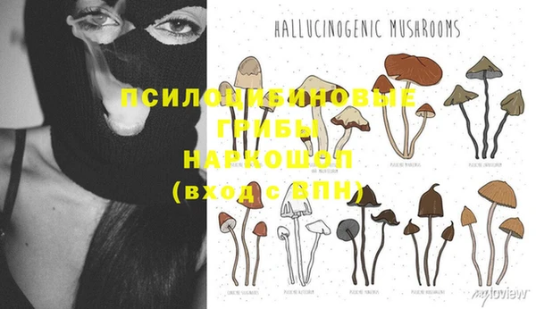спиды Богданович