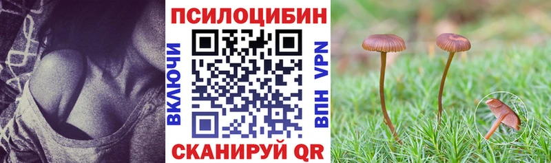 Галлюциногенные грибы MAGIC MUSHROOMS  Железноводск 