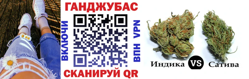 Шишки марихуана сатива  купить   Железноводск 